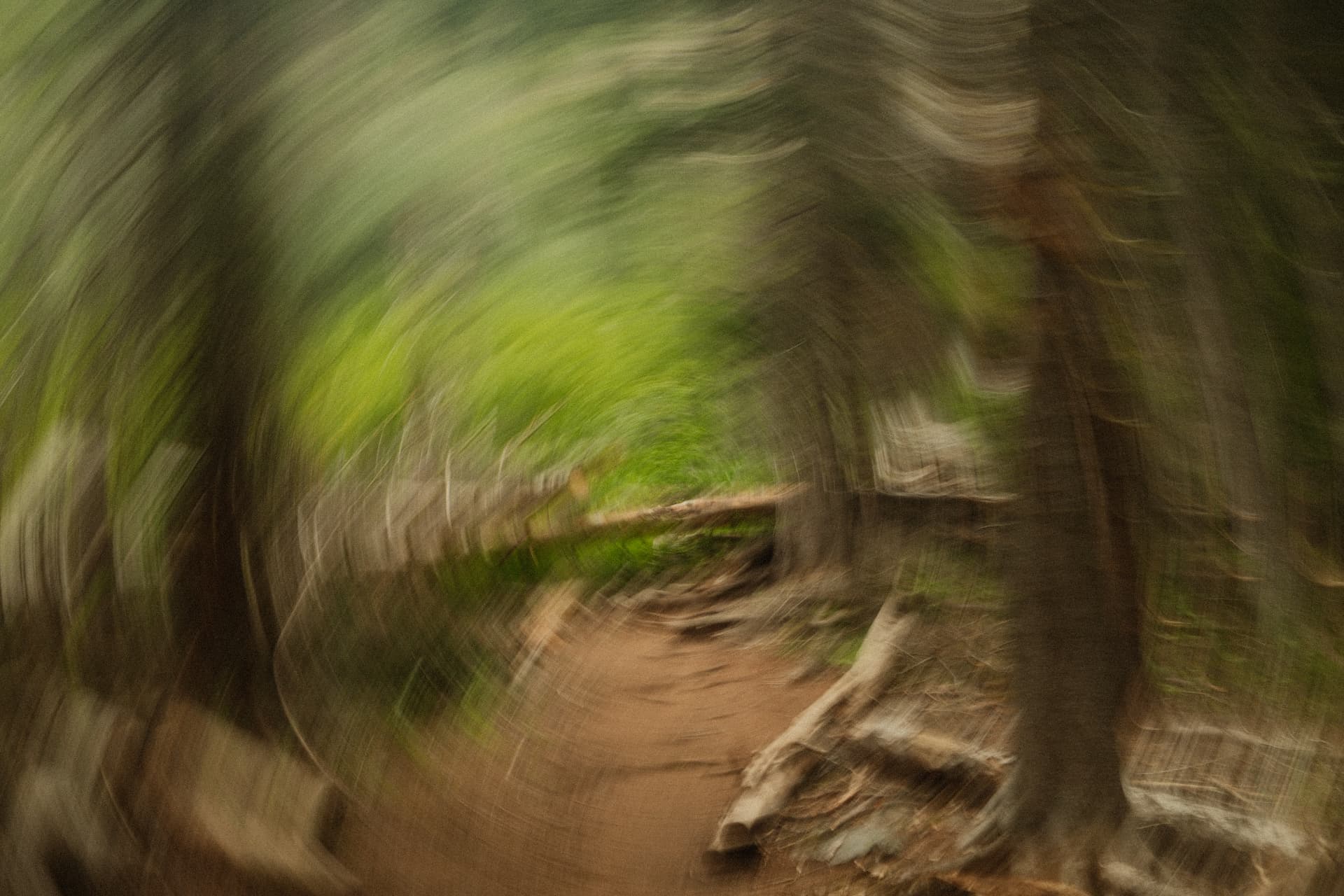 A forest trail swirled into motion blur